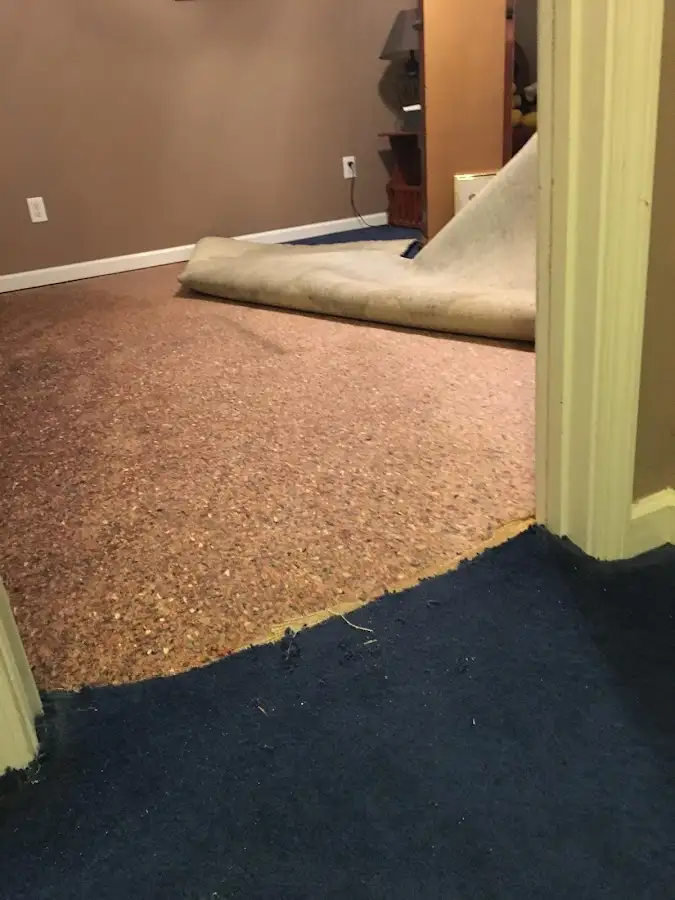 Carpet pad removal revealing water damage during Water Mitigation Services in Agawam Town