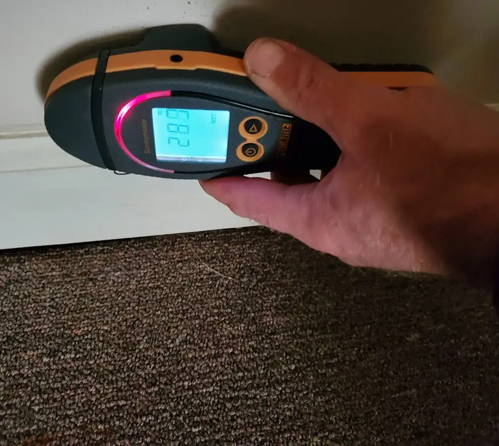 Moisture detection at baseboard during Sewage Cleanup & Sanitation in Agawam Town